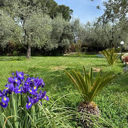 La Piccola Provenza Villa Fiano Romano Exterior foto